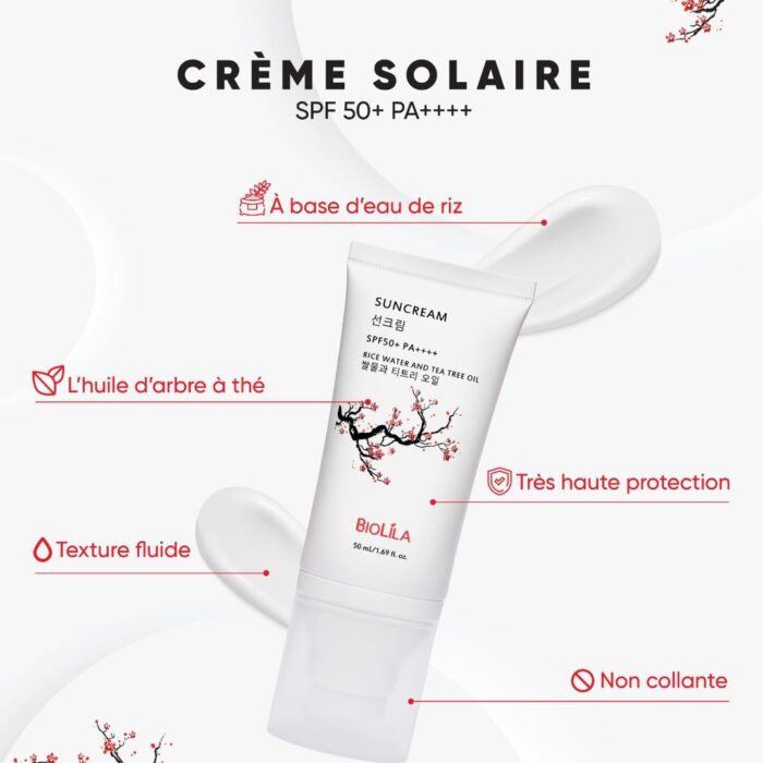 505164995_720022417055696_3683141025056931331_n 505164995_720022417055696_3683141025056931331_n