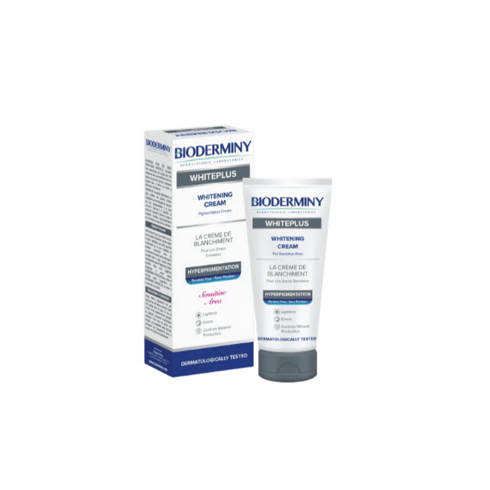 Design sans titre - 2025-12-06T143317.719