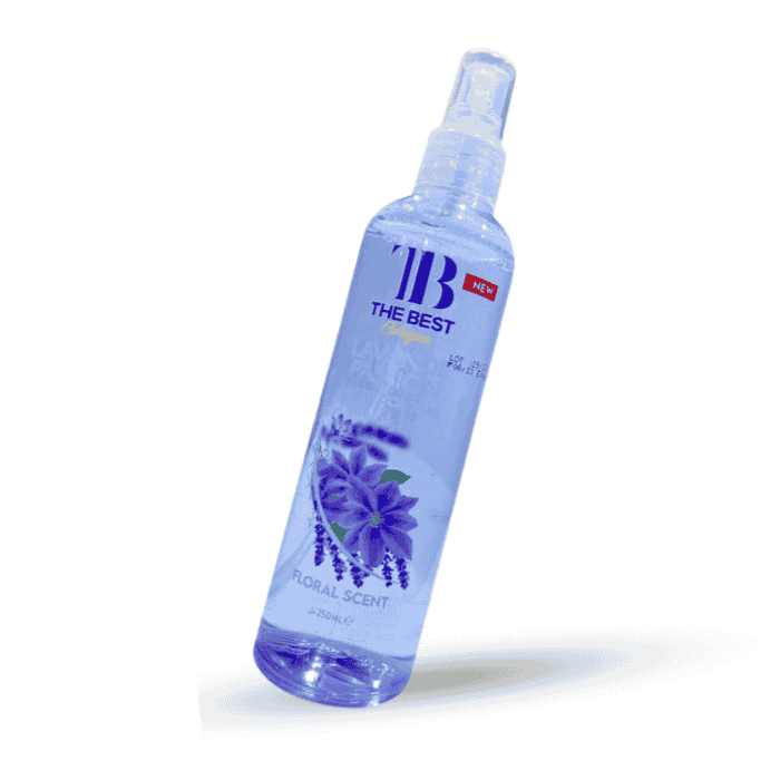 Design sans titre - 2026-02-11T155229.935